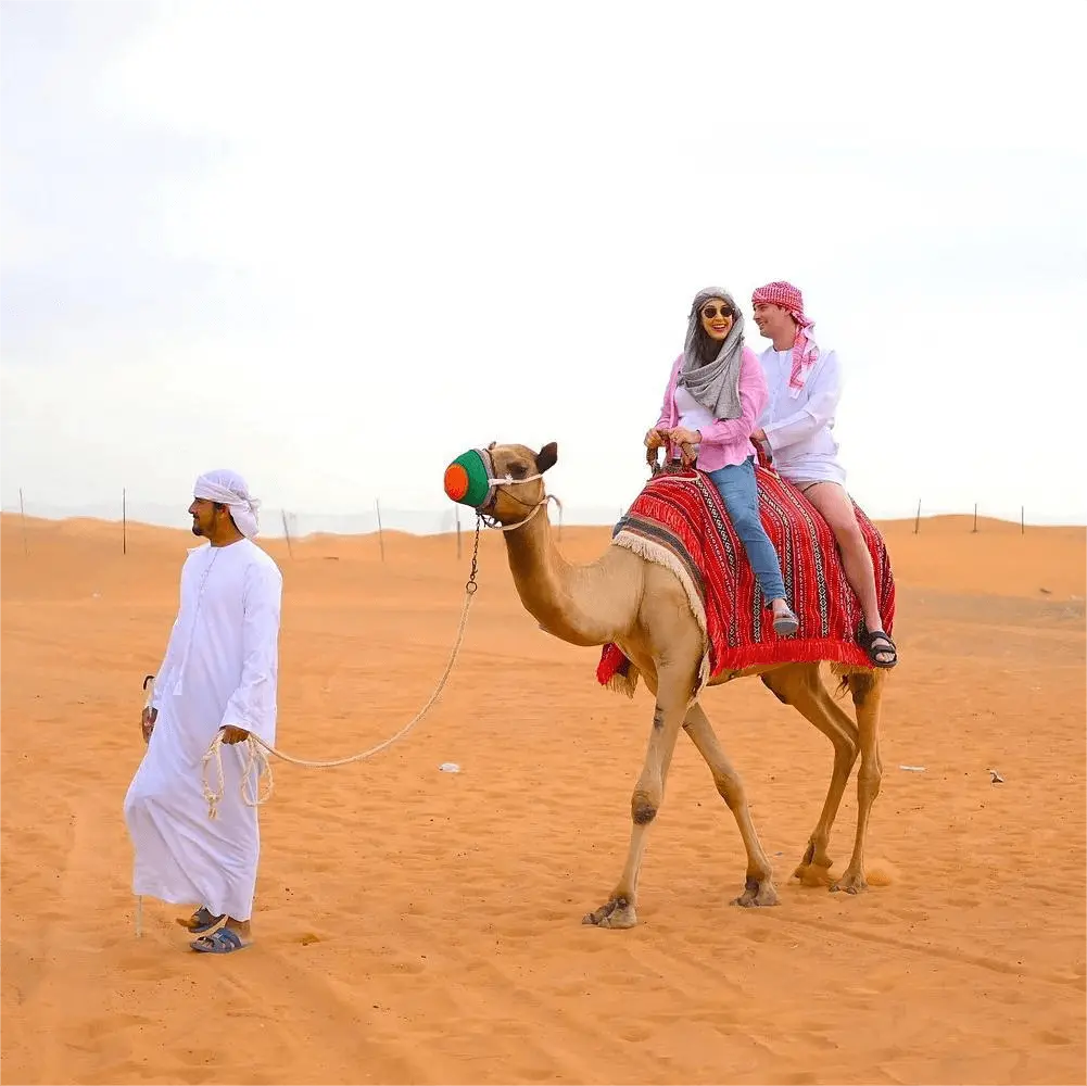camel-ride-desert-safari-dubai