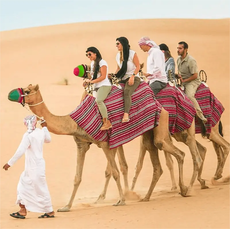 camel-ride-desert-safari-dubai