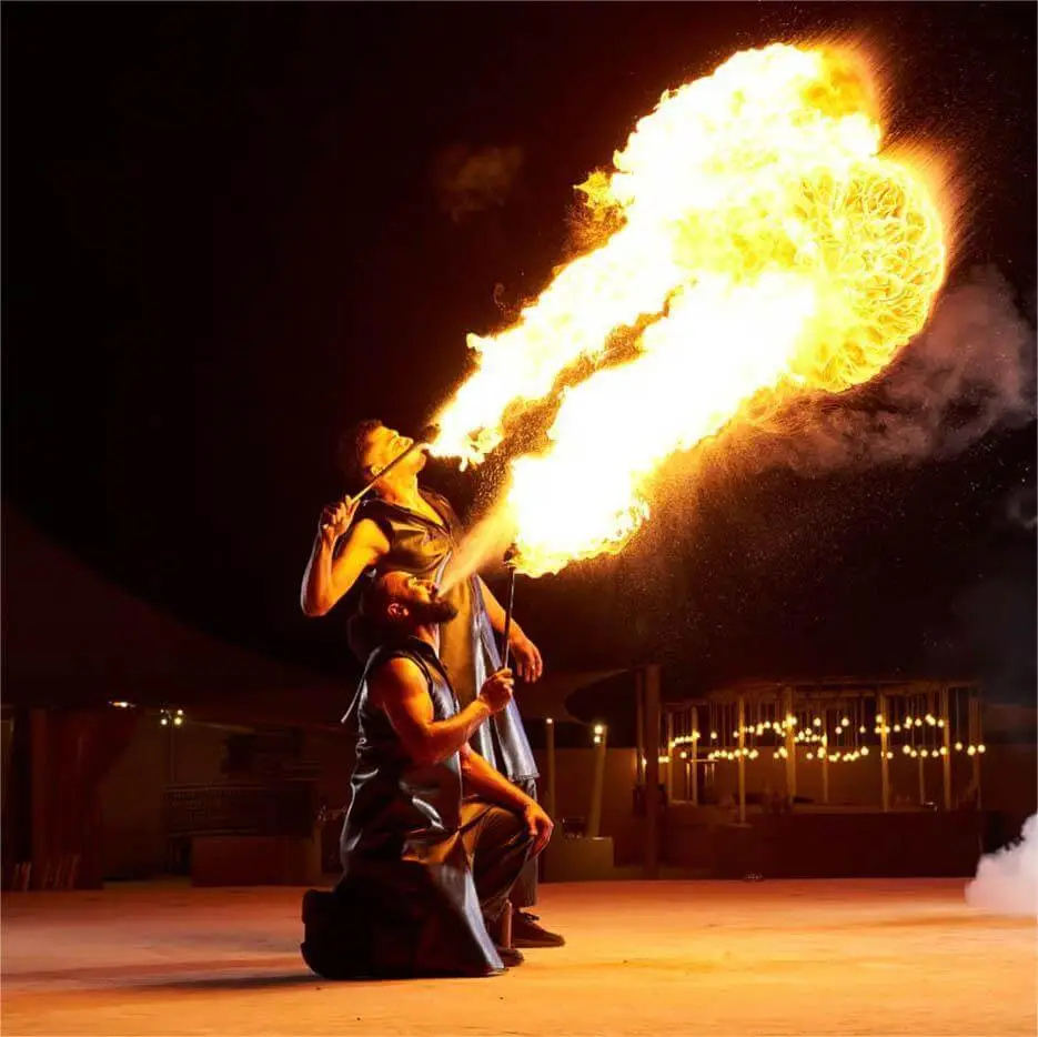 evening-safari-fire-show