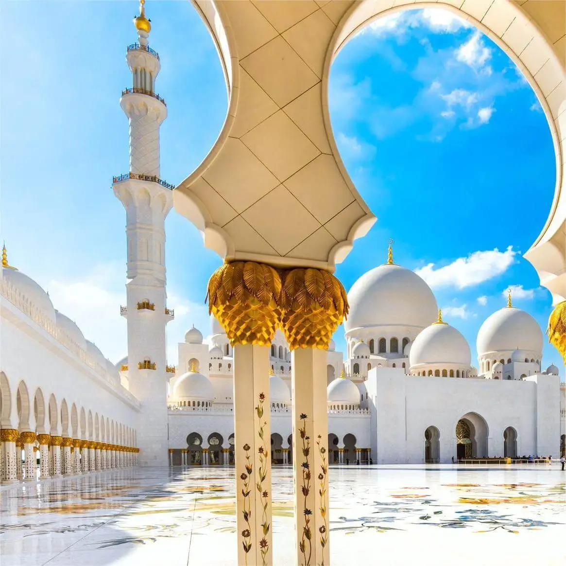 half-day-shared-tour-in-abu-dhabi