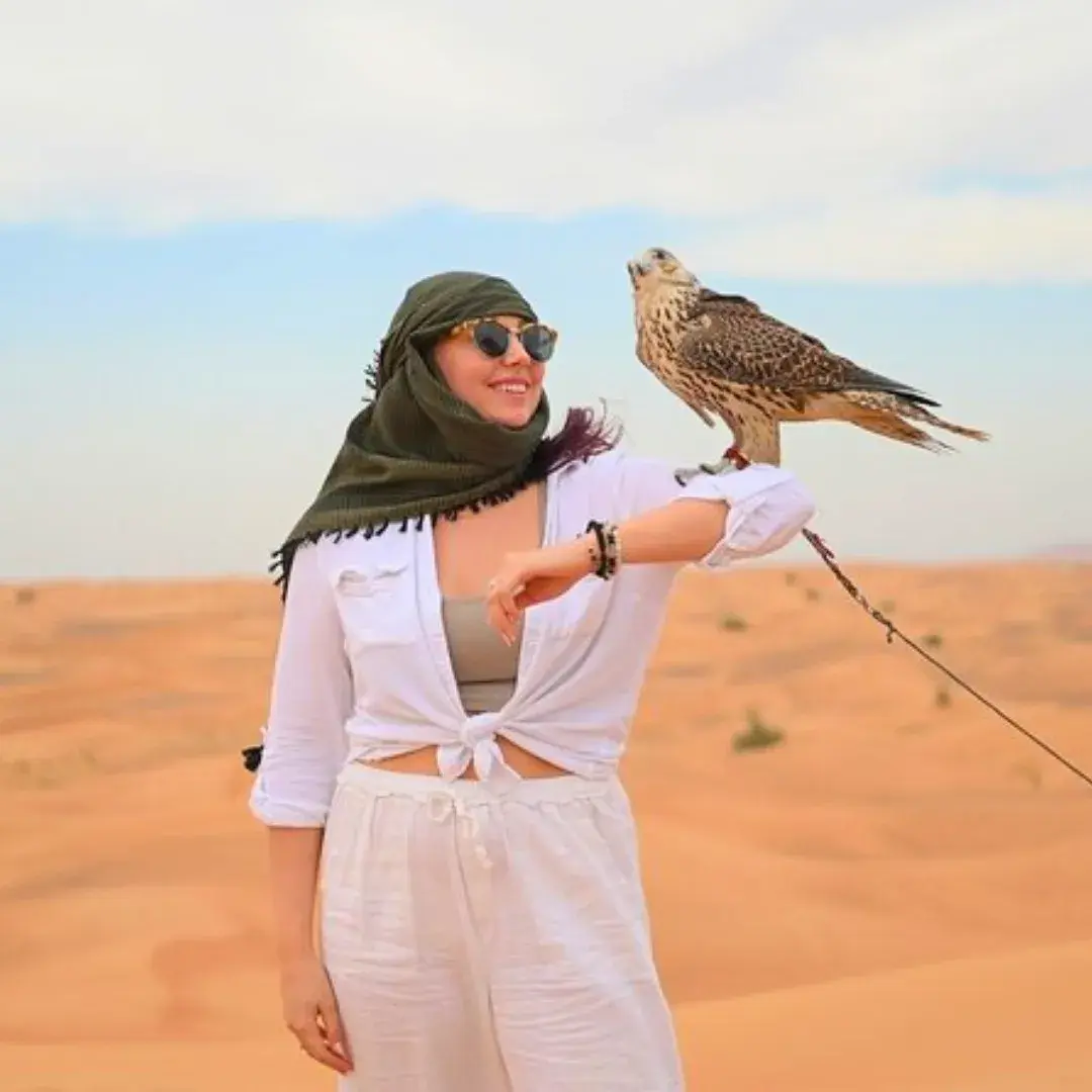 morning-safari-falcon-photography