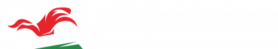new logo buggy white